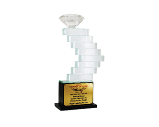 Transport Excellence Award